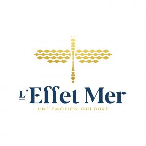 Formation Mayotte EFFETMER LOGO