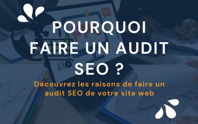 Pourquoi faire un audit SEO de votre site web à Mayotte ?