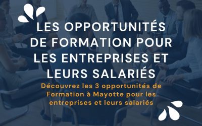 Formation professionnelle à Mayotte : 3 opportunités en 2023 pour les entreprises et leurs salariés